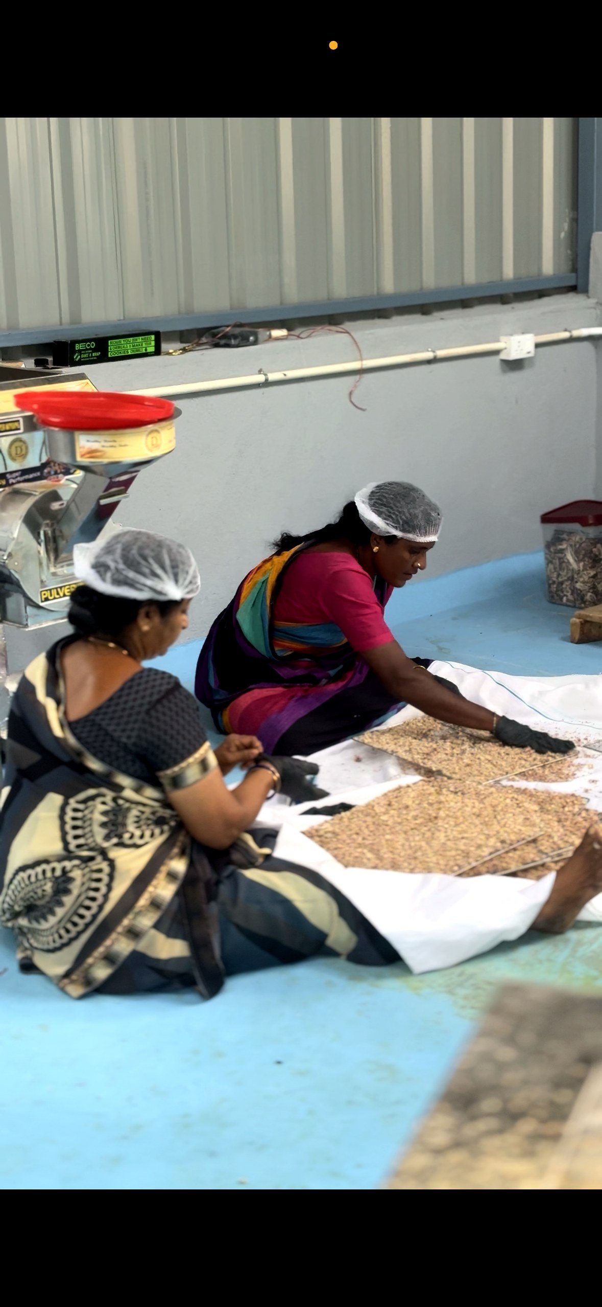 Jetti's Fruit Land product range — natural dehydrated powders